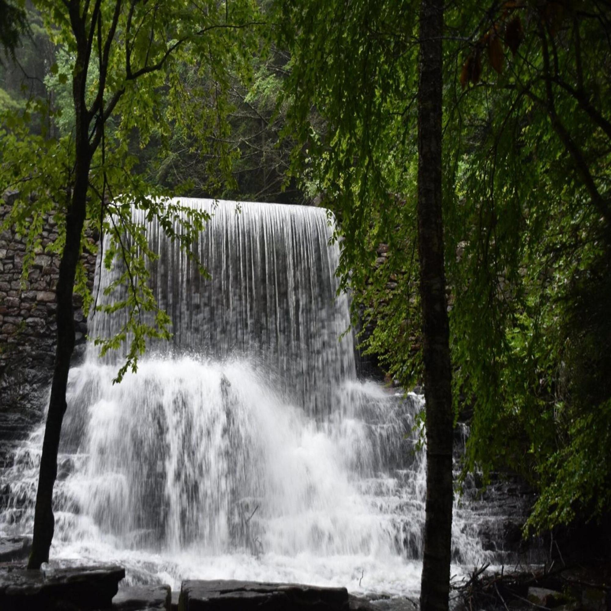 Camptel Poconos Lodging Otel Albrightsville Dış mekan fotoğraf